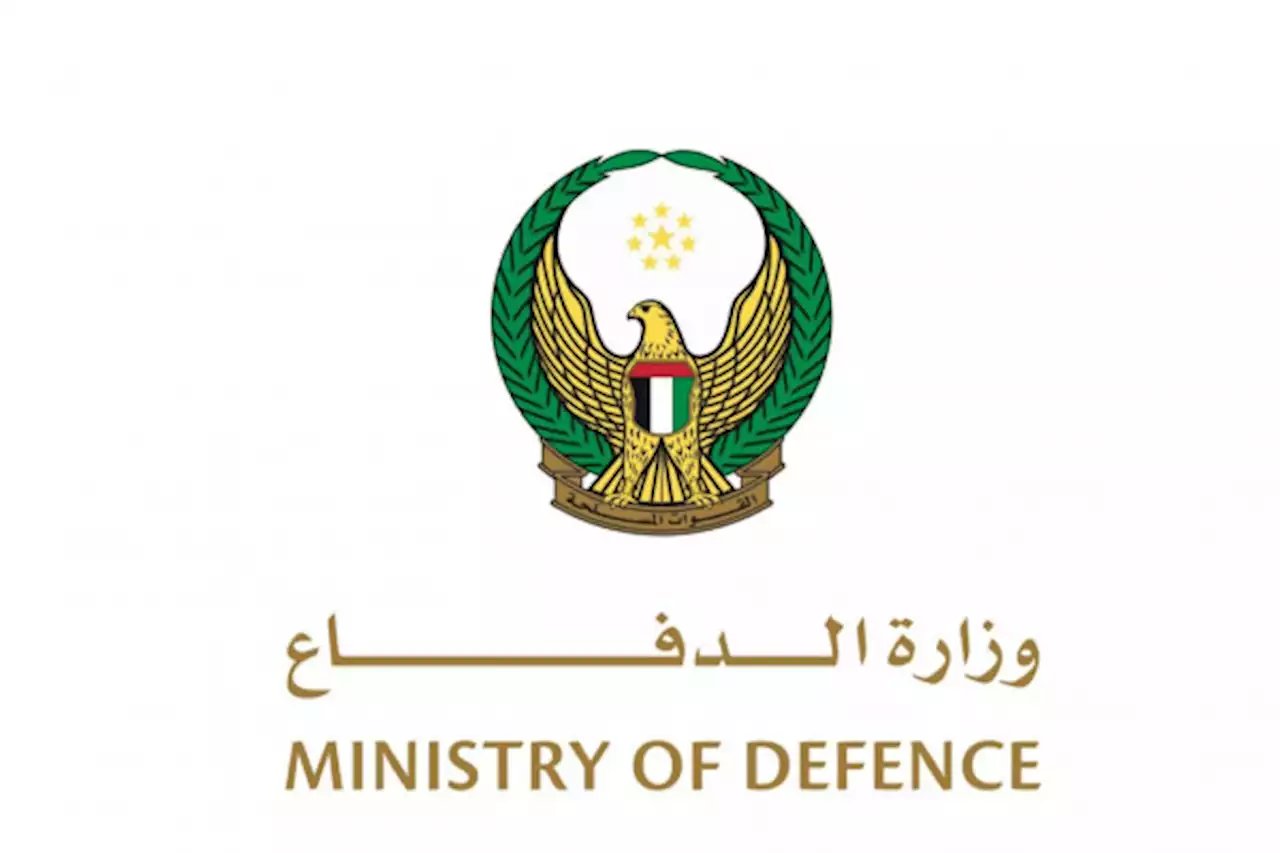 وزارة الدفاع تنوي شراء 12 طائرة صينية من طراز L15