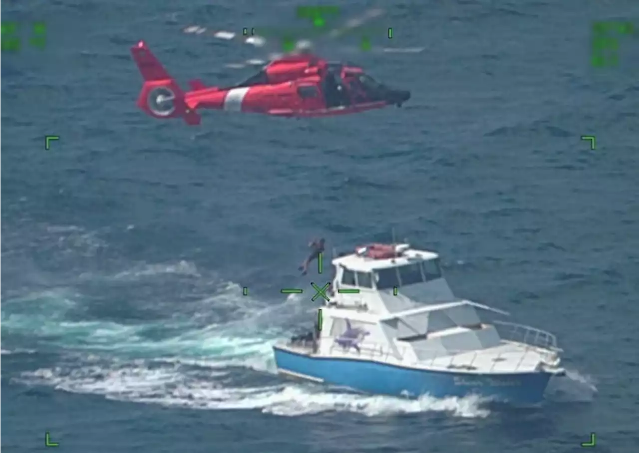 WATCH VIDEO: Coast Guard rescues shark bite victim near Bahamas