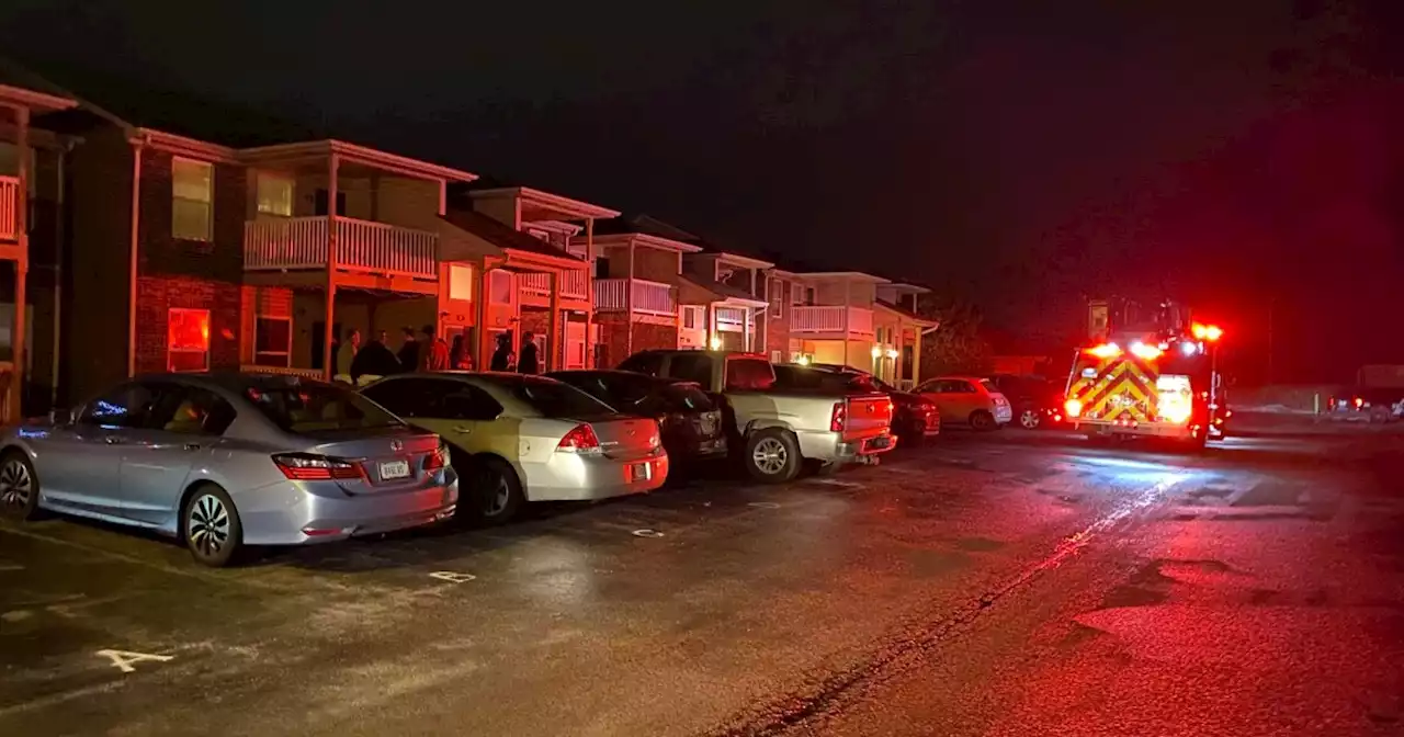 74-year-old woman, animals found dead in Lebanon apartment fire