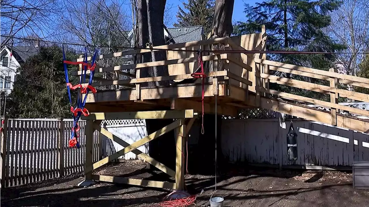 Neighbors demand 8-year-old’s massive treehouse be taken down