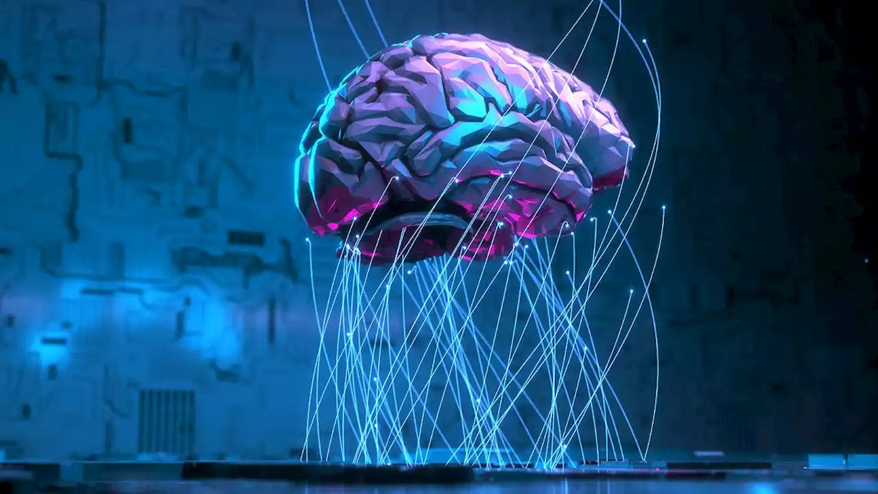 Dying Human Brain: पहली बार मरते हुए इंसान के दिमाग की रिकॉर्डिंग हुई, खुले अनोखे राज