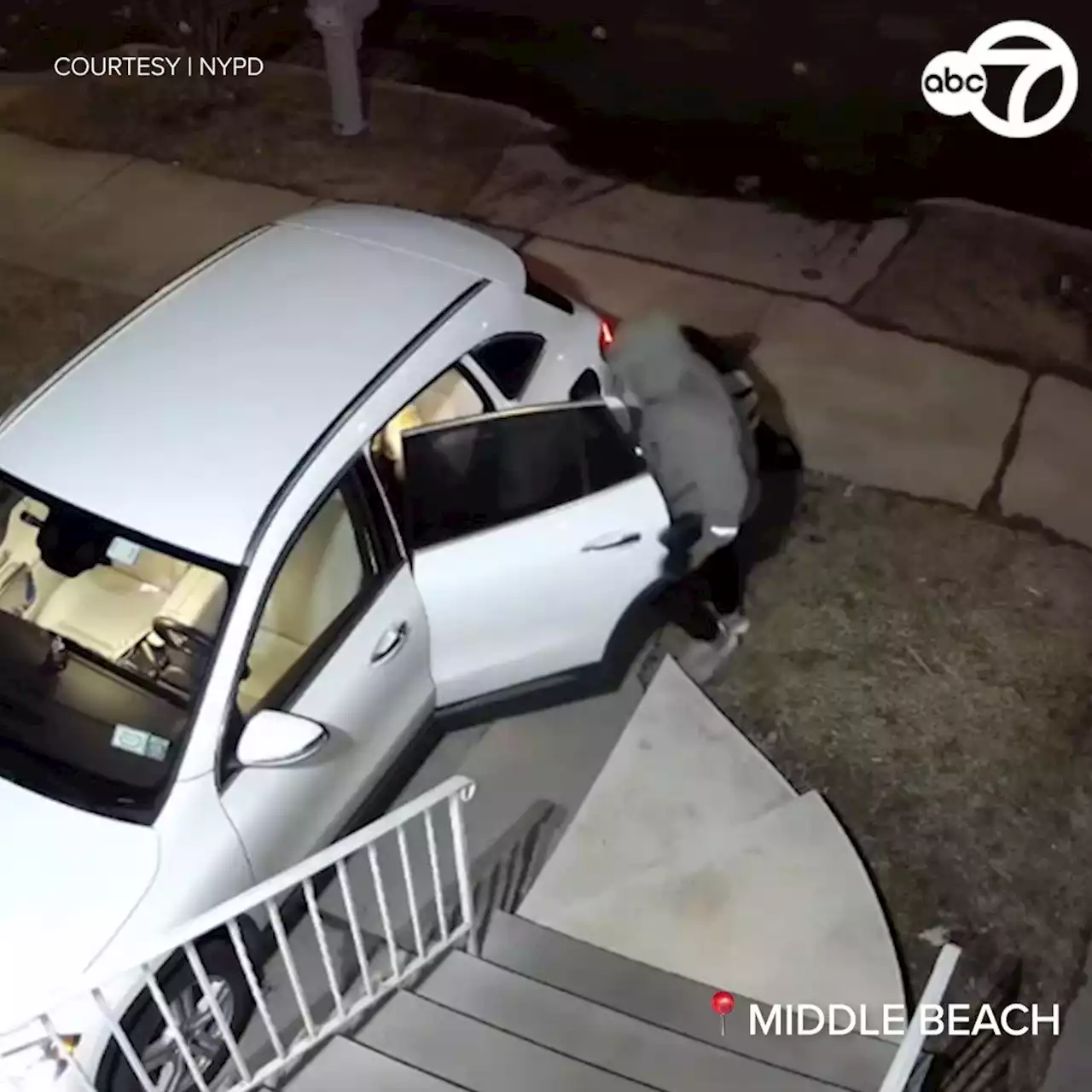 Video shows couple attacked, robbed in their Staten Island driveway