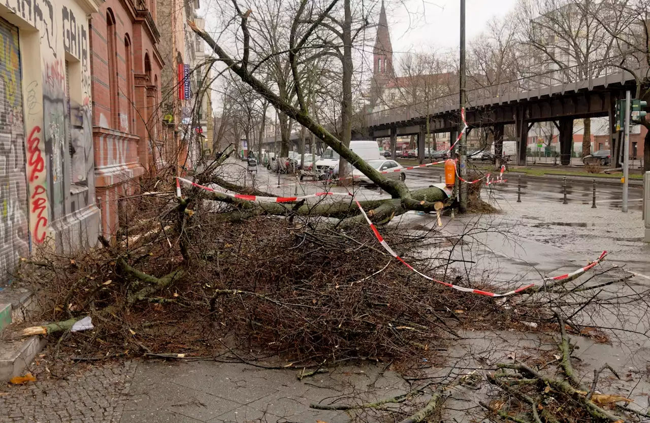 Sturmschäden: Berliner Polizei warnt vor falschen Handwerkern