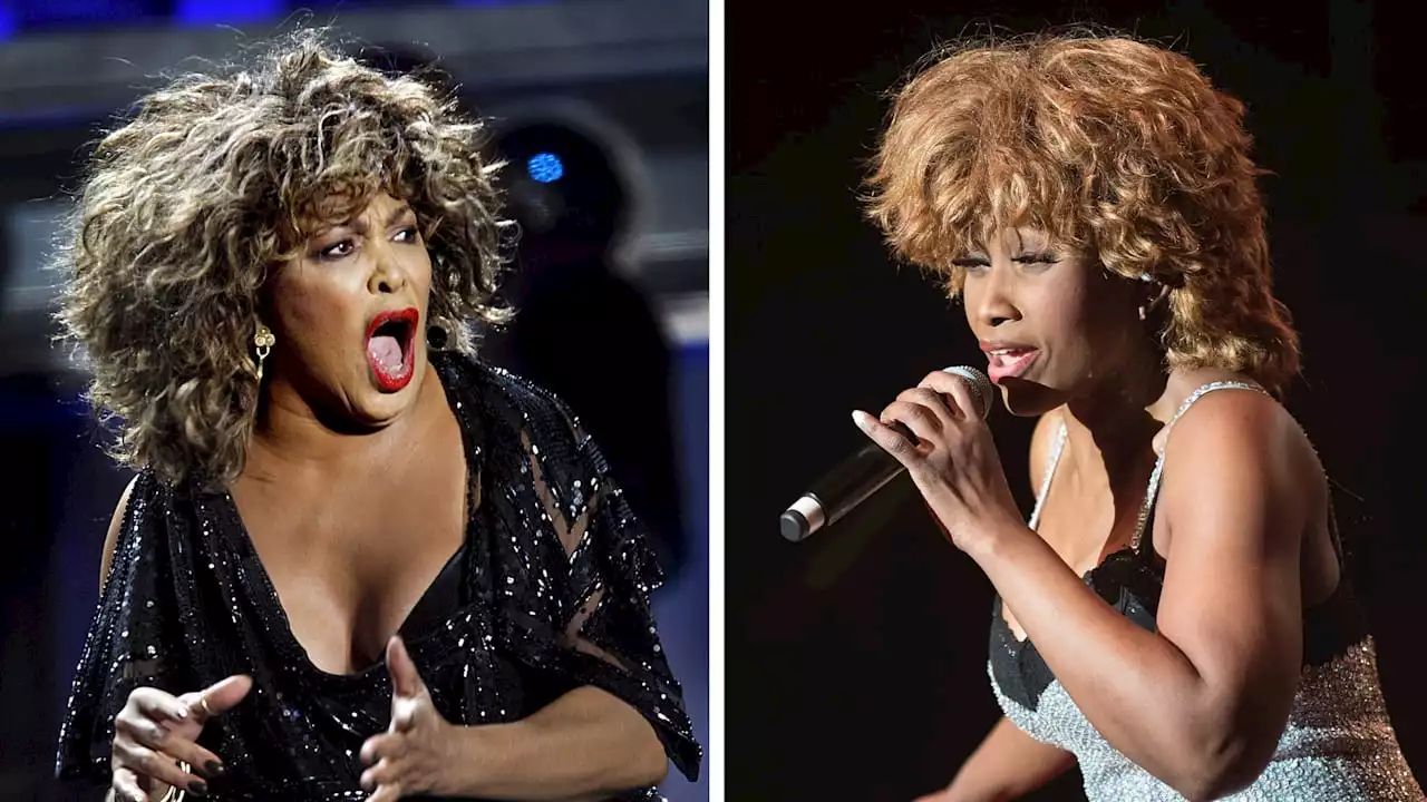 Vor BGH in Karlsruhe: Tina Turner verliert Streit um Doppelgängerin