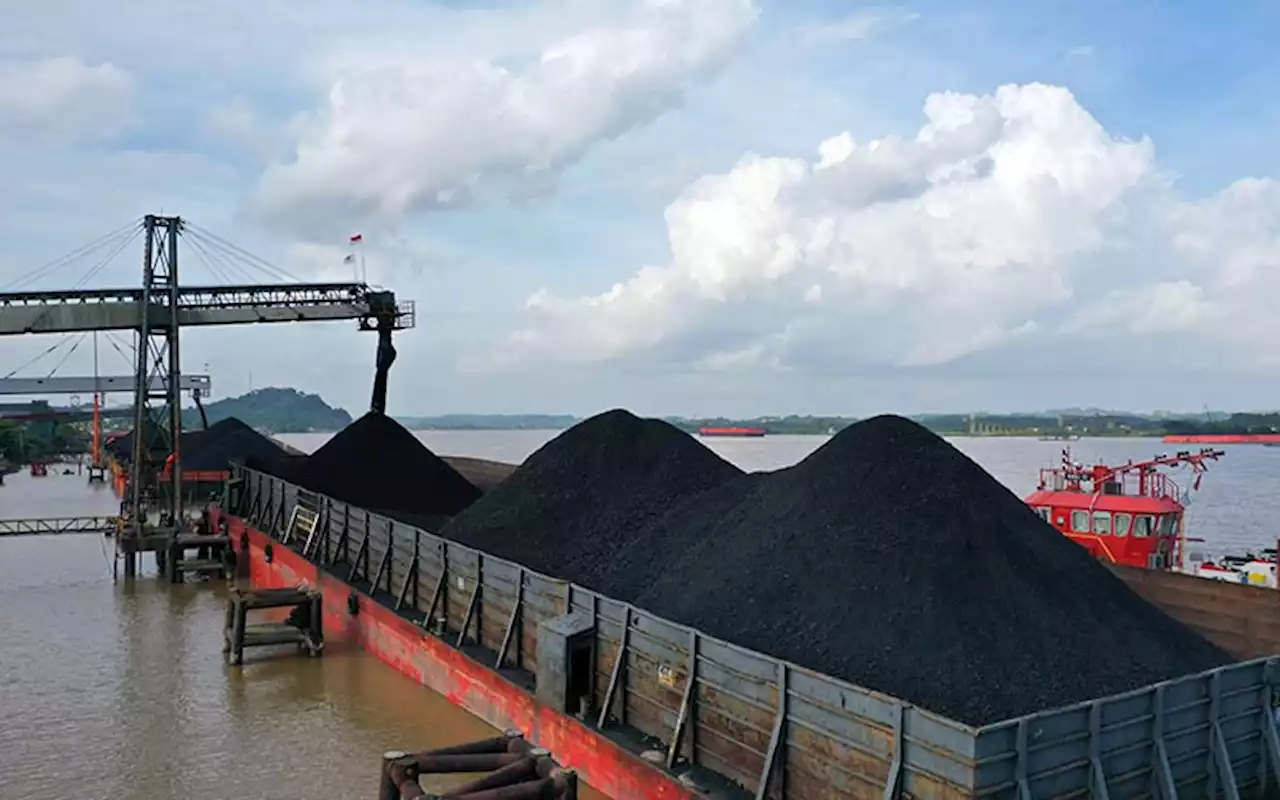 Cek! Target Harga Saham ADRO dan UNTR saat Batu Bara Melambung | Market - Bisnis.com
