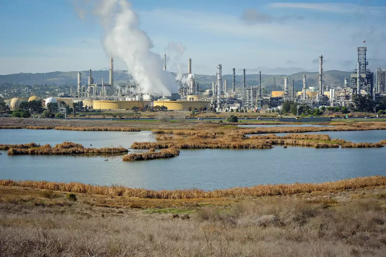 Experts – once again — tell Senate panel that California’s key climate change strategy is flawed