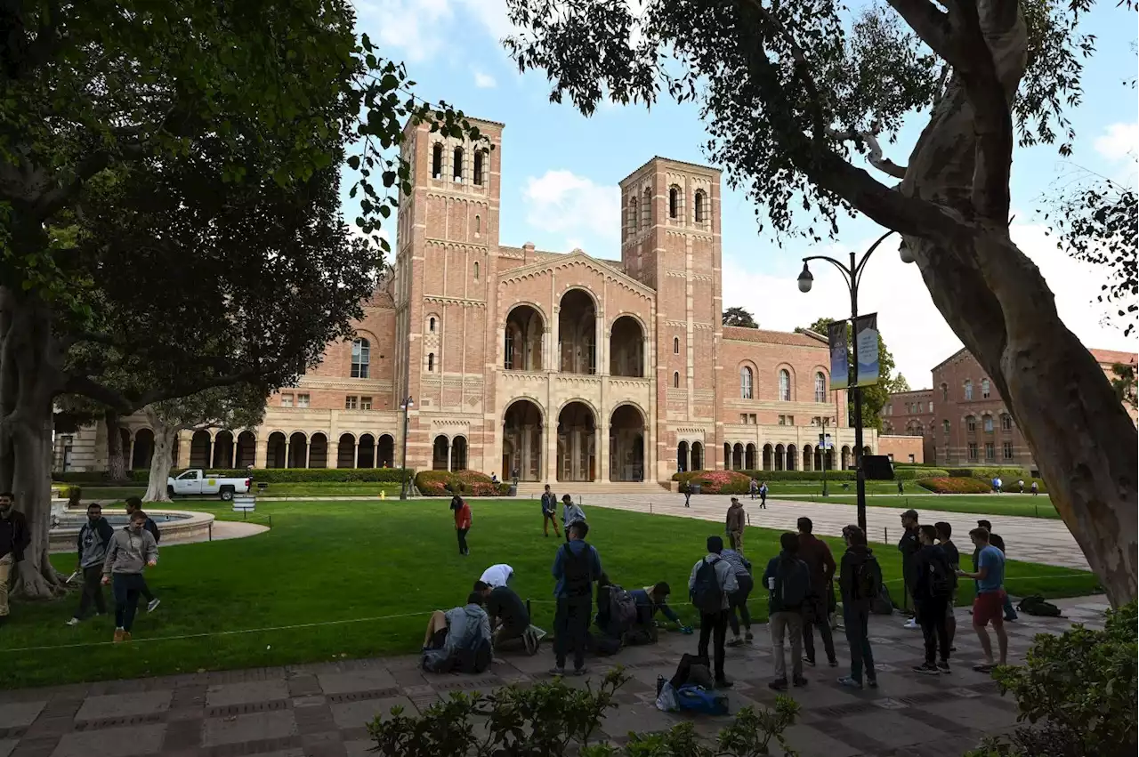 UCLA Accused Of Animal Abuse In Labs