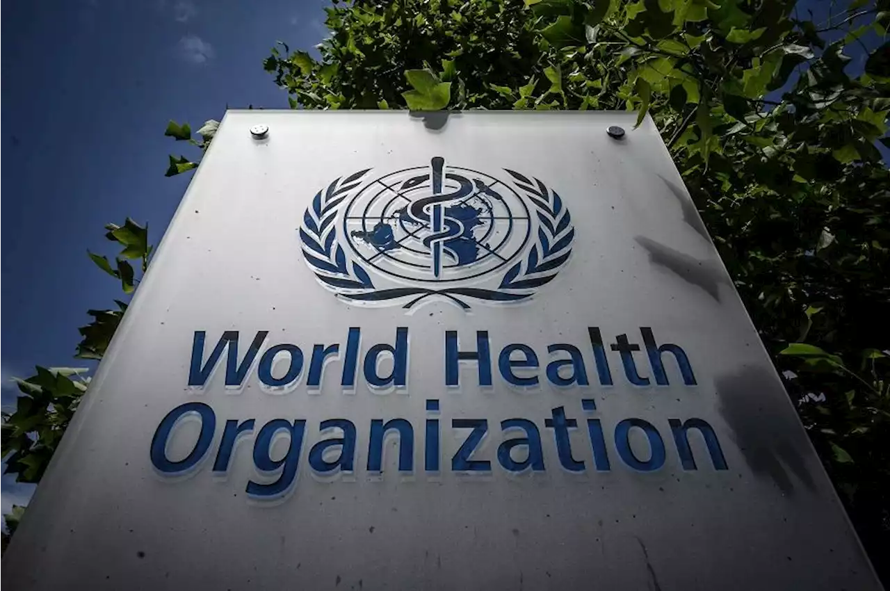 WHO creates global training hub for vaccine, treatment production