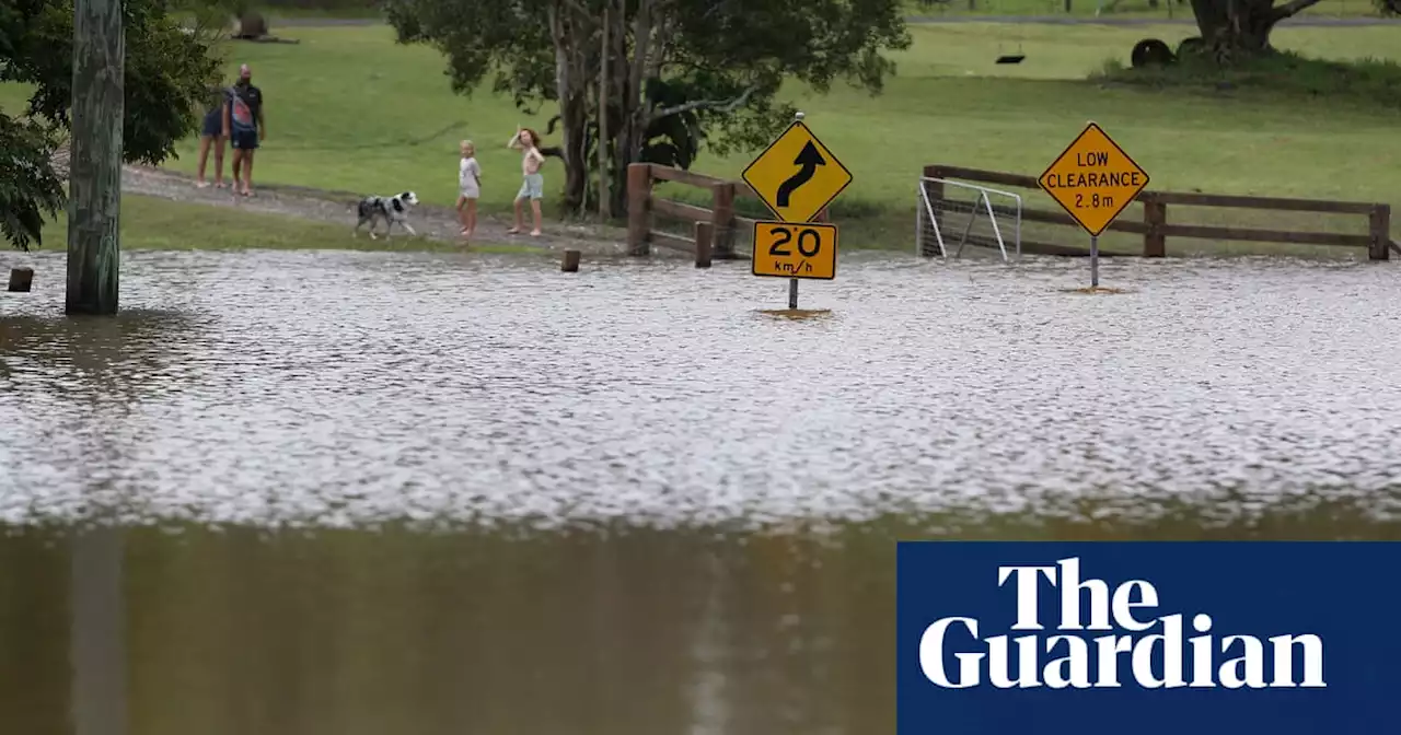 More heavy rainfall set to hit NSW and Queensland as search continues for motorcyclist missing in floods