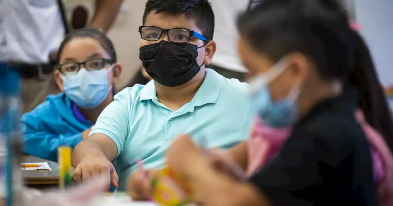 California voters strongly support mask and vaccine mandates in K-12 schools