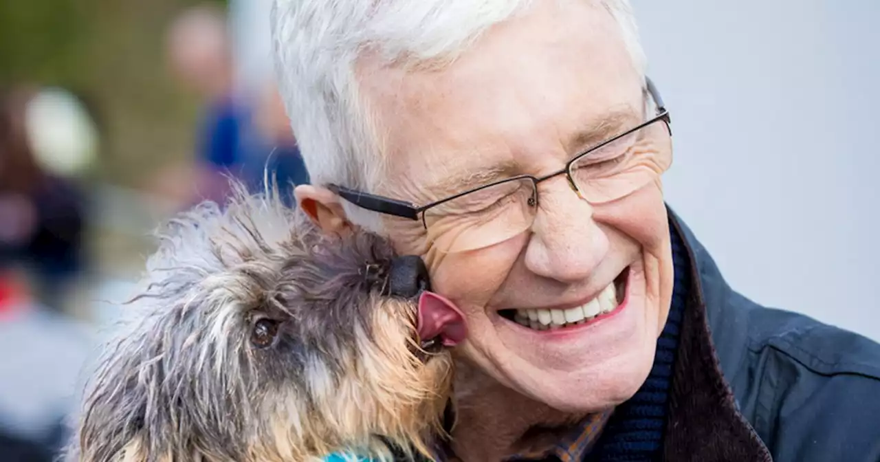 Paul O'Grady adopts another Battersea rescue dog despite contract rule