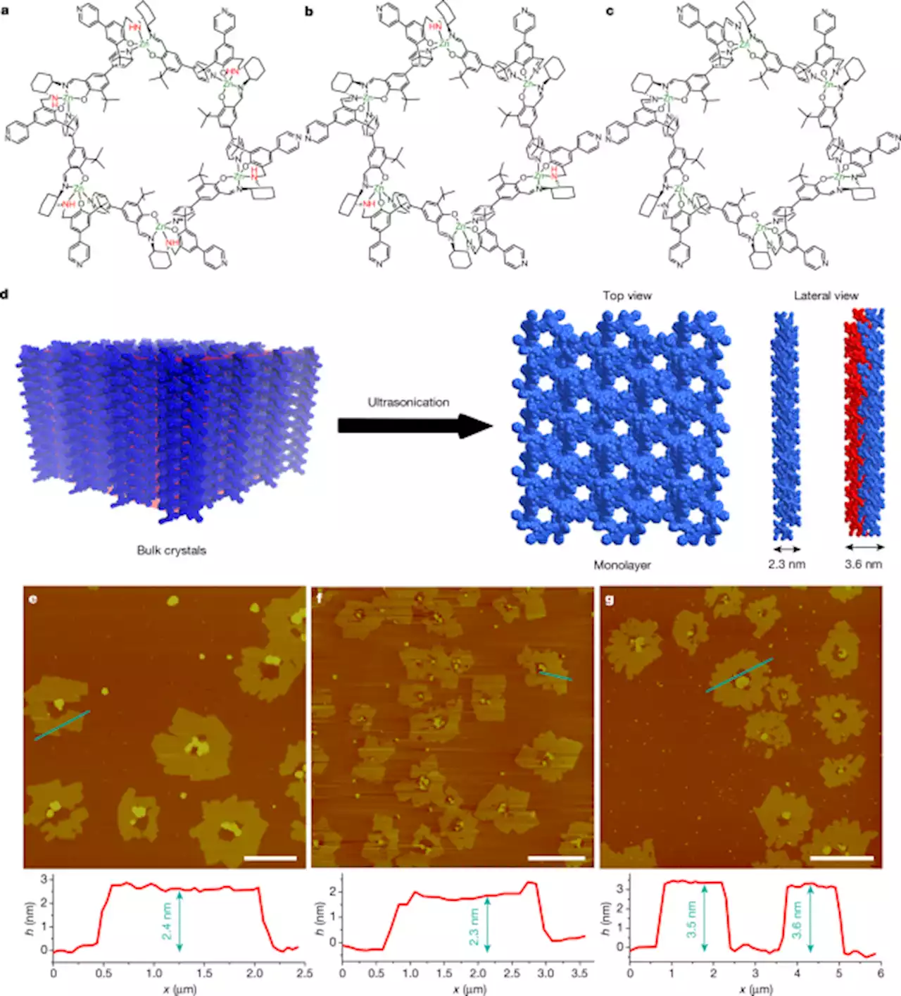 Free-standing homochiral 2D monolayers by exfoliation of molecular crystals - Nature