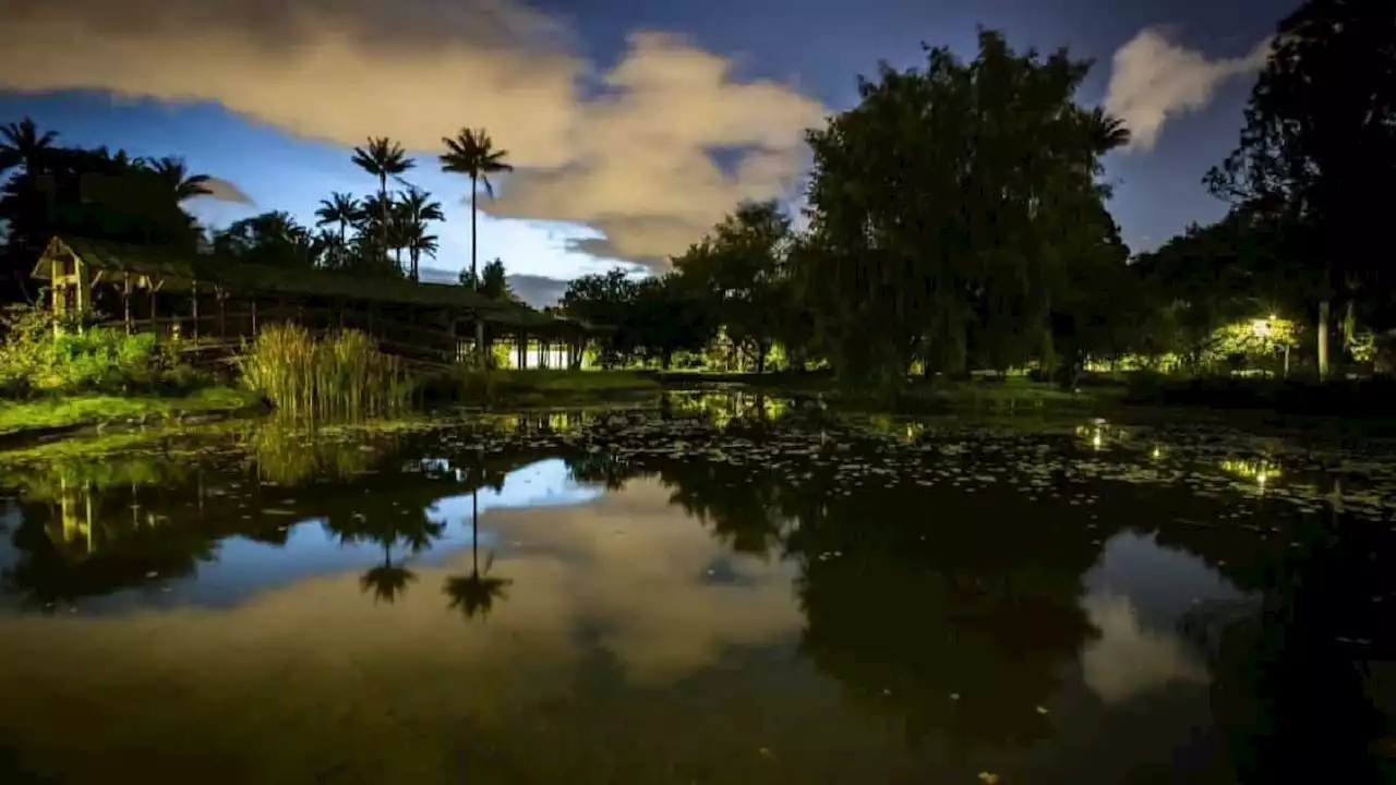 ¡A disfrutar en familia! Vuelven las jornadas nocturnas al Jardín Botánico de Bogotá