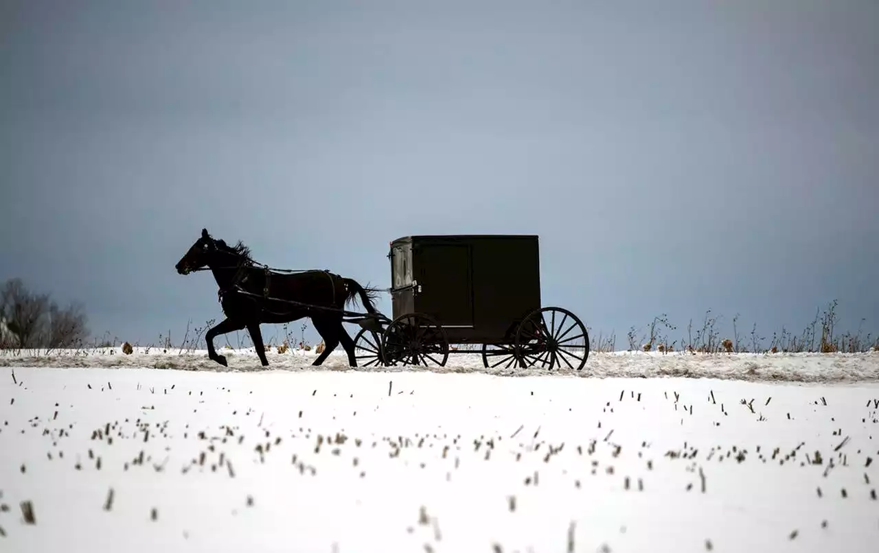 ‘Reckless’ Amish buggy driver accused of DUI tells Pa. cops he ‘had a couple beers’