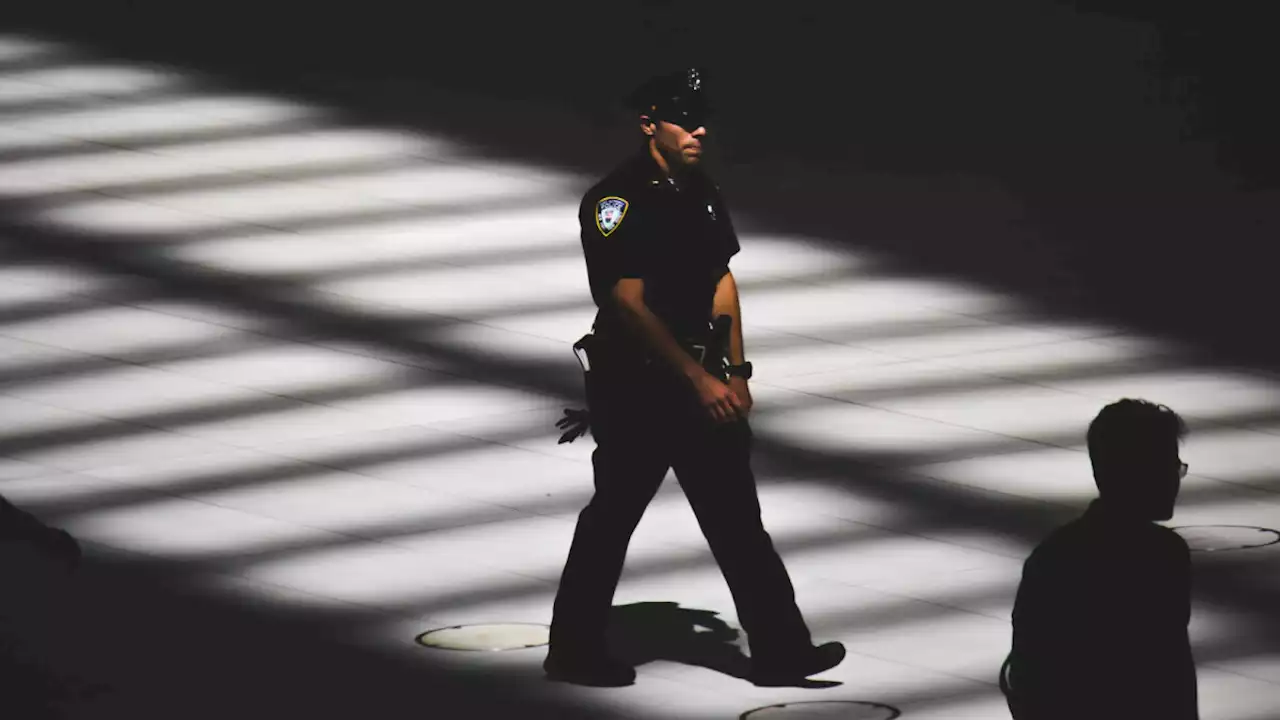 Amsterdam Apple Store becomes scene of violent armed robbery