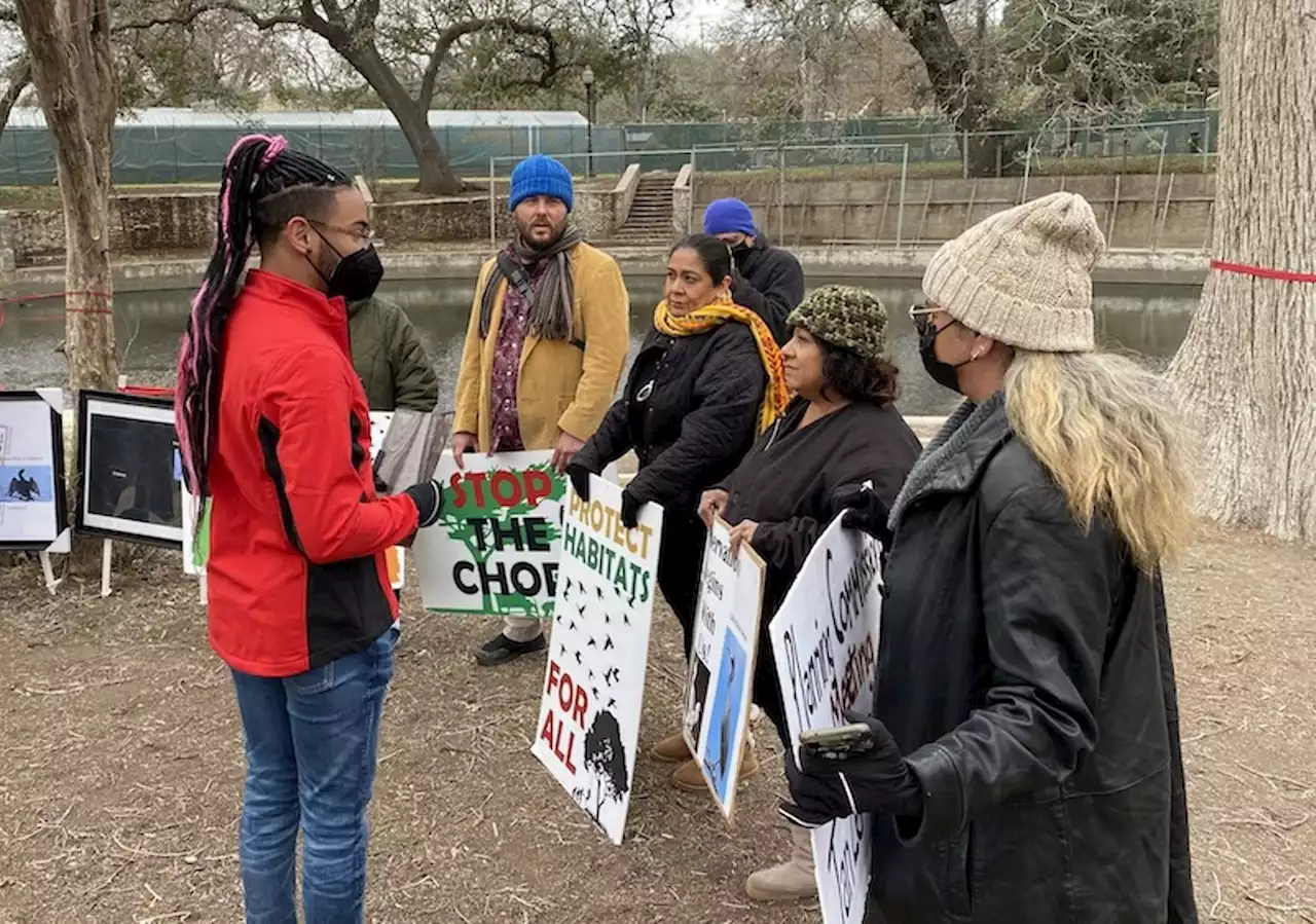 City of San Antonio will push back decision on Brackenridge trees, hold three public-input meetings