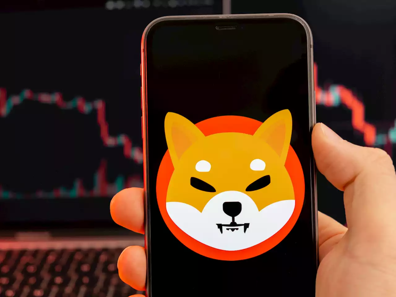 15.43 Million SHIB Burned as Token Plunges 12%