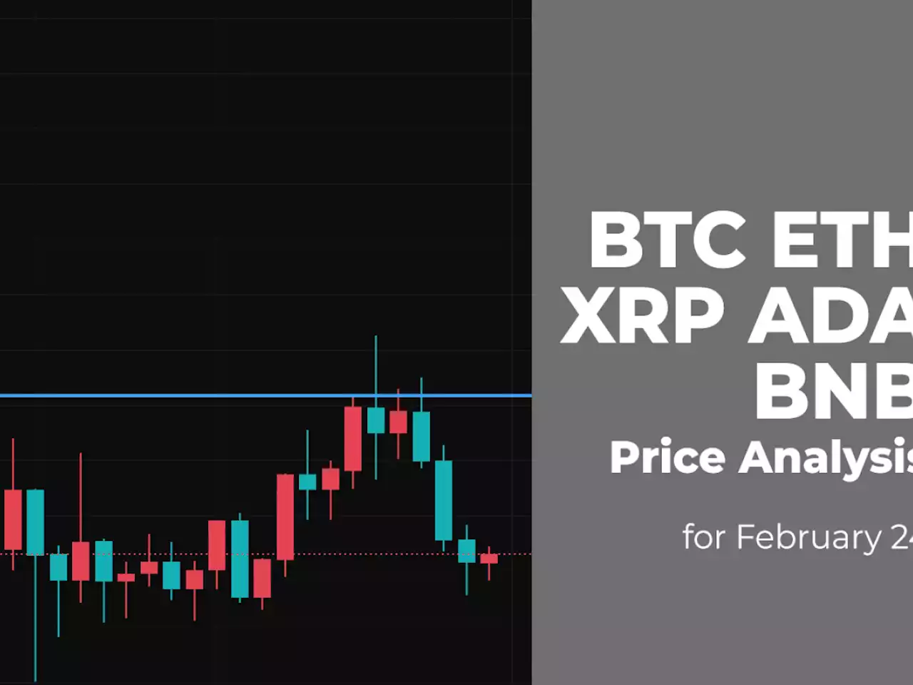 BTC, ETH, XRP, ADA and BNB Price Analysis for February 24