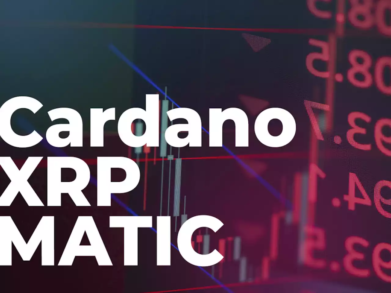 Cardano, XRP and MATIC Are Down by Double Digits as Bitcoin Falls to New Lows