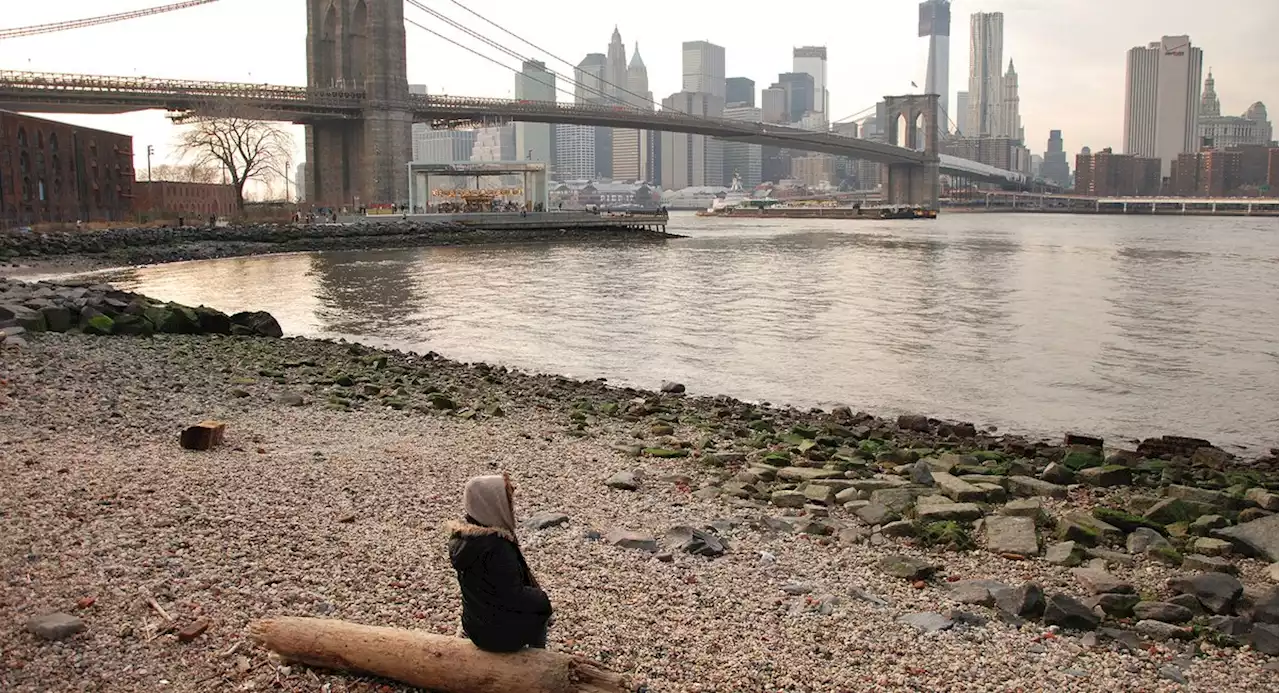 Climate resiliency and equity: What NYC is planning for the next decade of its waterfront