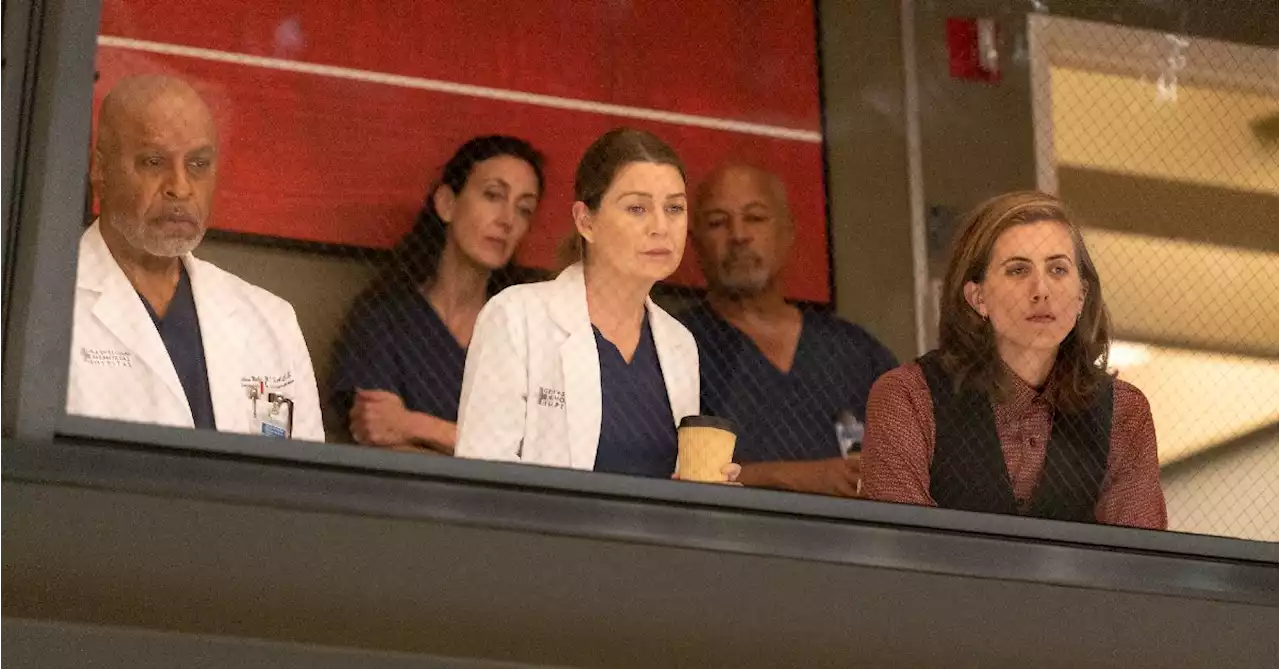 Grey's Anatomy: Major Cast Member Set to Leave Series in Next Episode