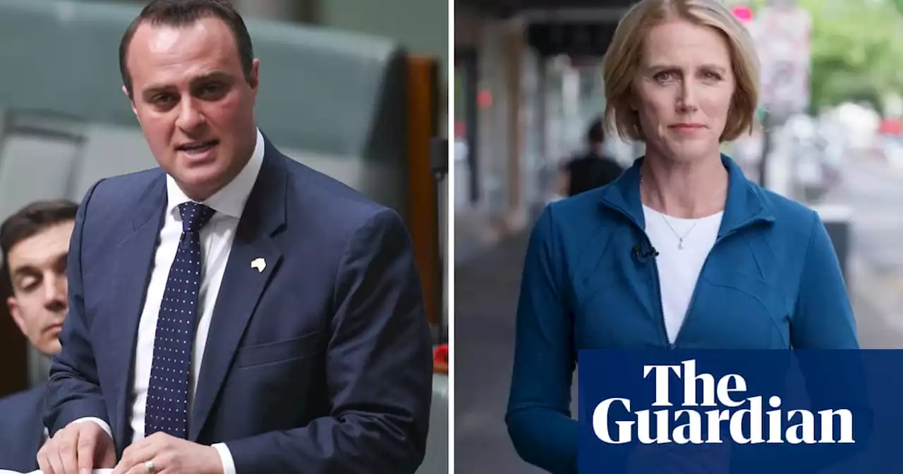 Bayside council backflips on campaign sign stoush between Zoe Daniel and Liberal Tim Wilson