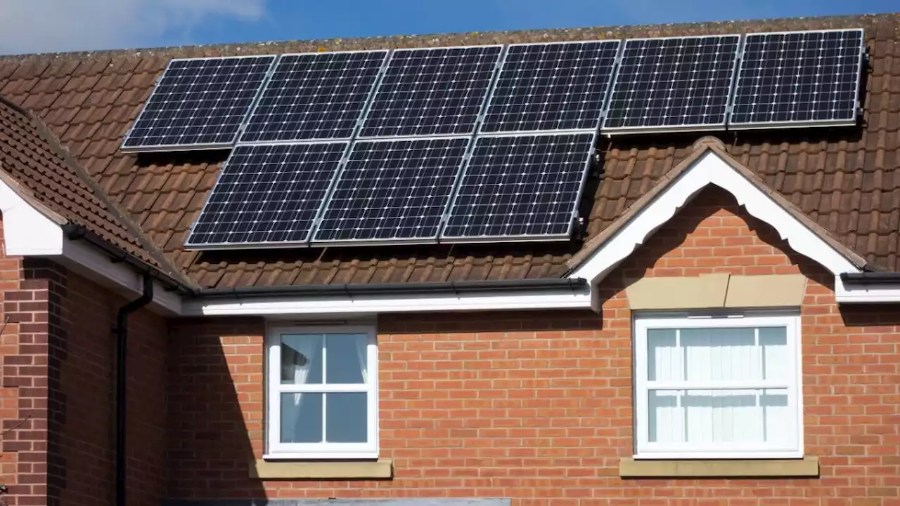 Are solar panels worth it? How to save money and energy