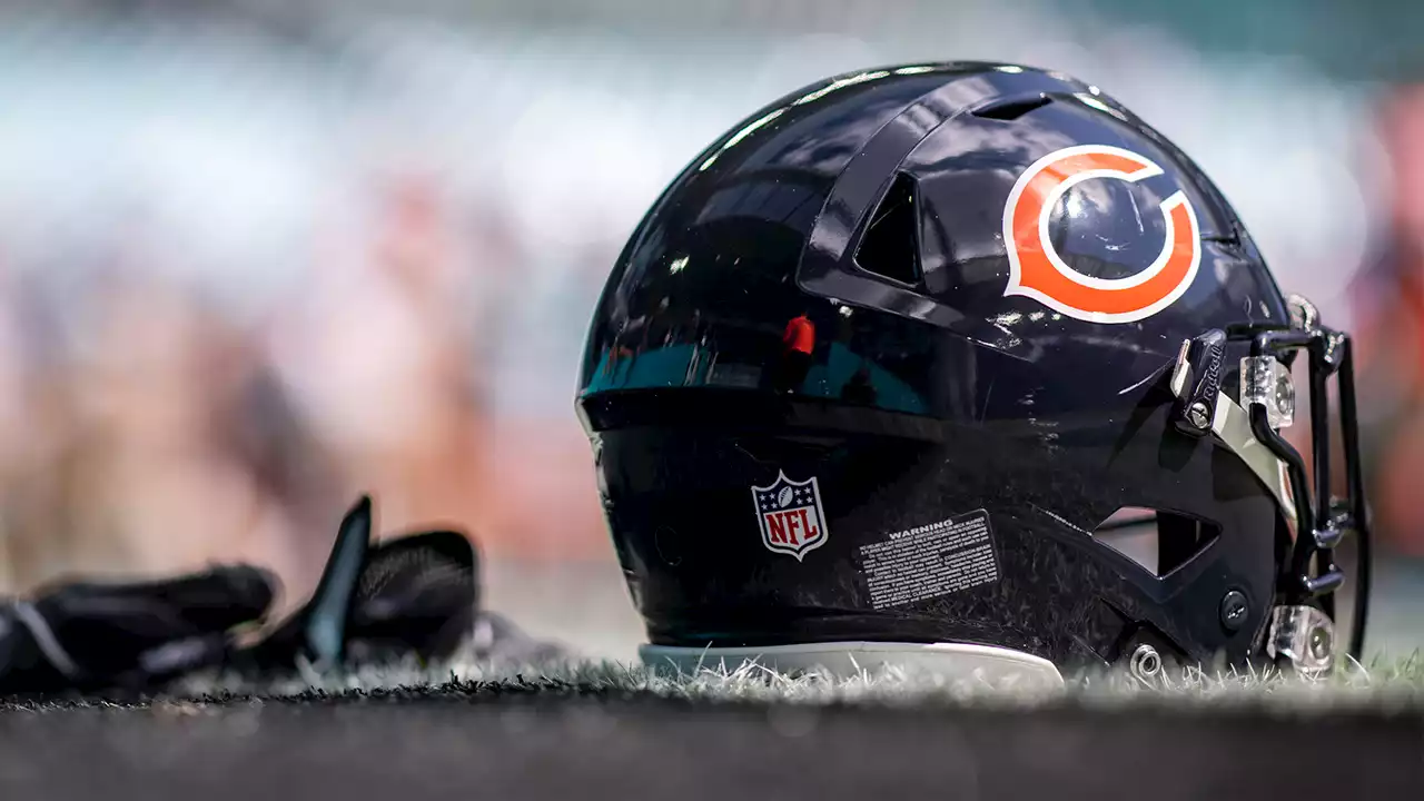 Bears Hire Matt Feinstein as Director of Football Administration