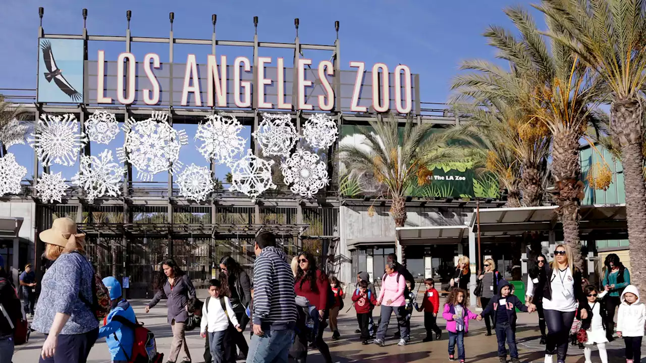 LA Zoo Raises $243K, Calling It The ‘Betty White Effect'