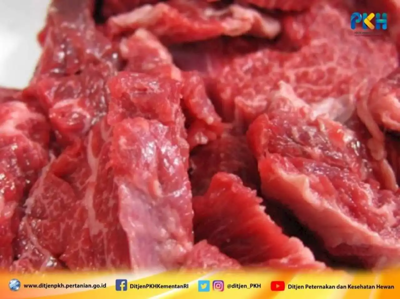 Kementan Tegaskan Stok Daging Sapi/Kerbau Jelang Ramadhan Hingga Lebaran Aman |Republika Online