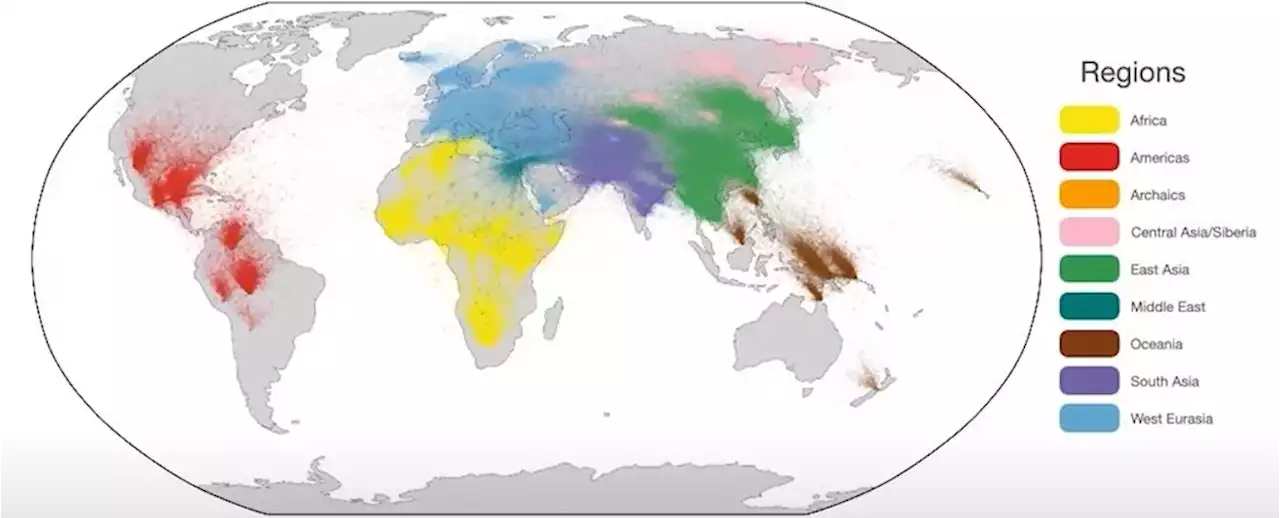 We Now Have The Largest Ever Human 'Family Tree', With 231 Million Ancestral Lineages