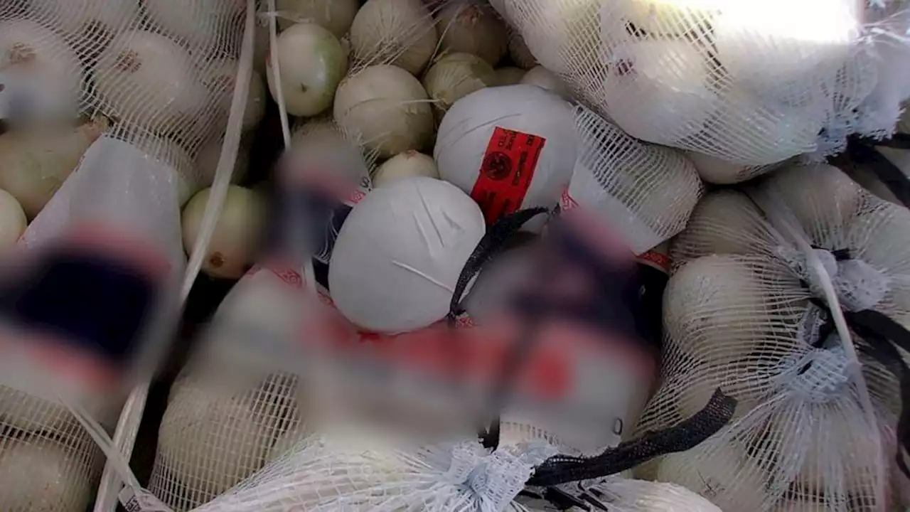 Authorities seize nearly $3M worth of meth in onion shipment