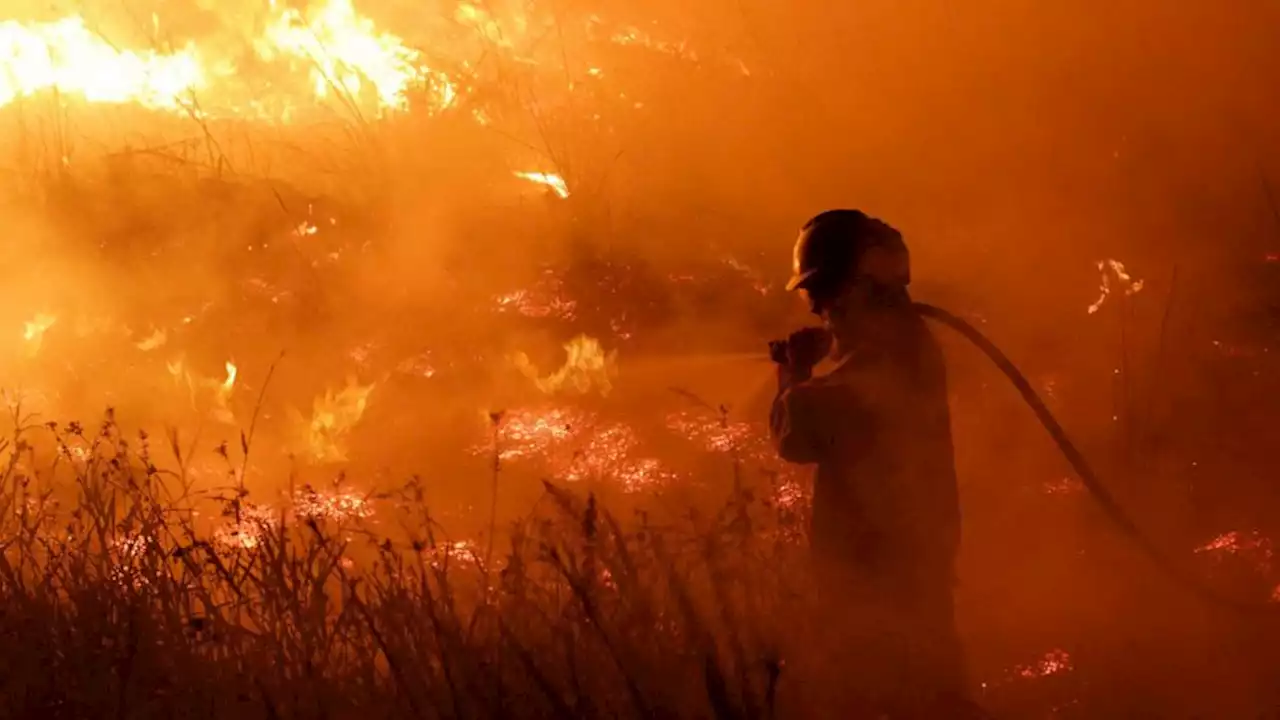 Number of extreme wildfires will rise 50% by 2100, and governments are not prepared: UN report