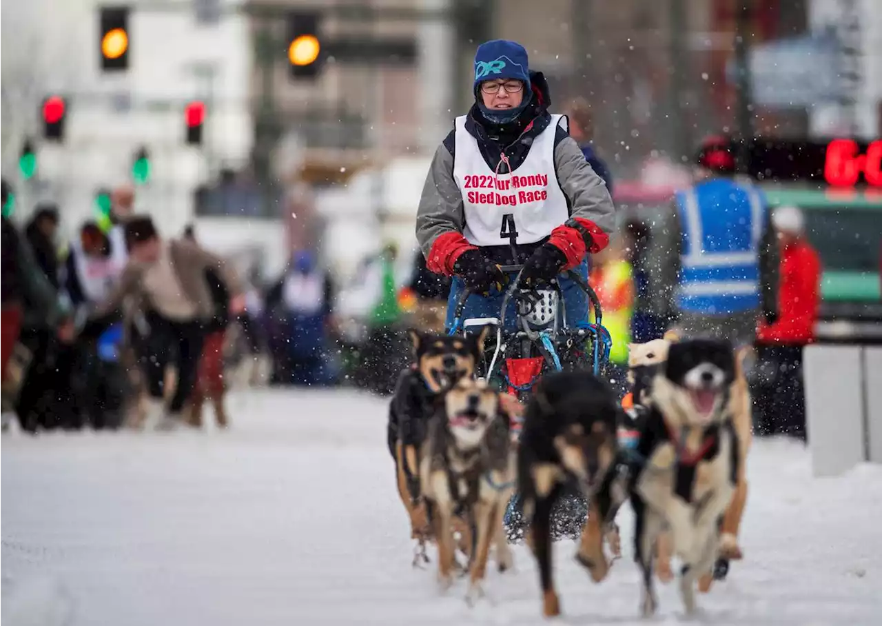 Photos: Fur Rondy sled dog races start with fanfare and slushy conditions