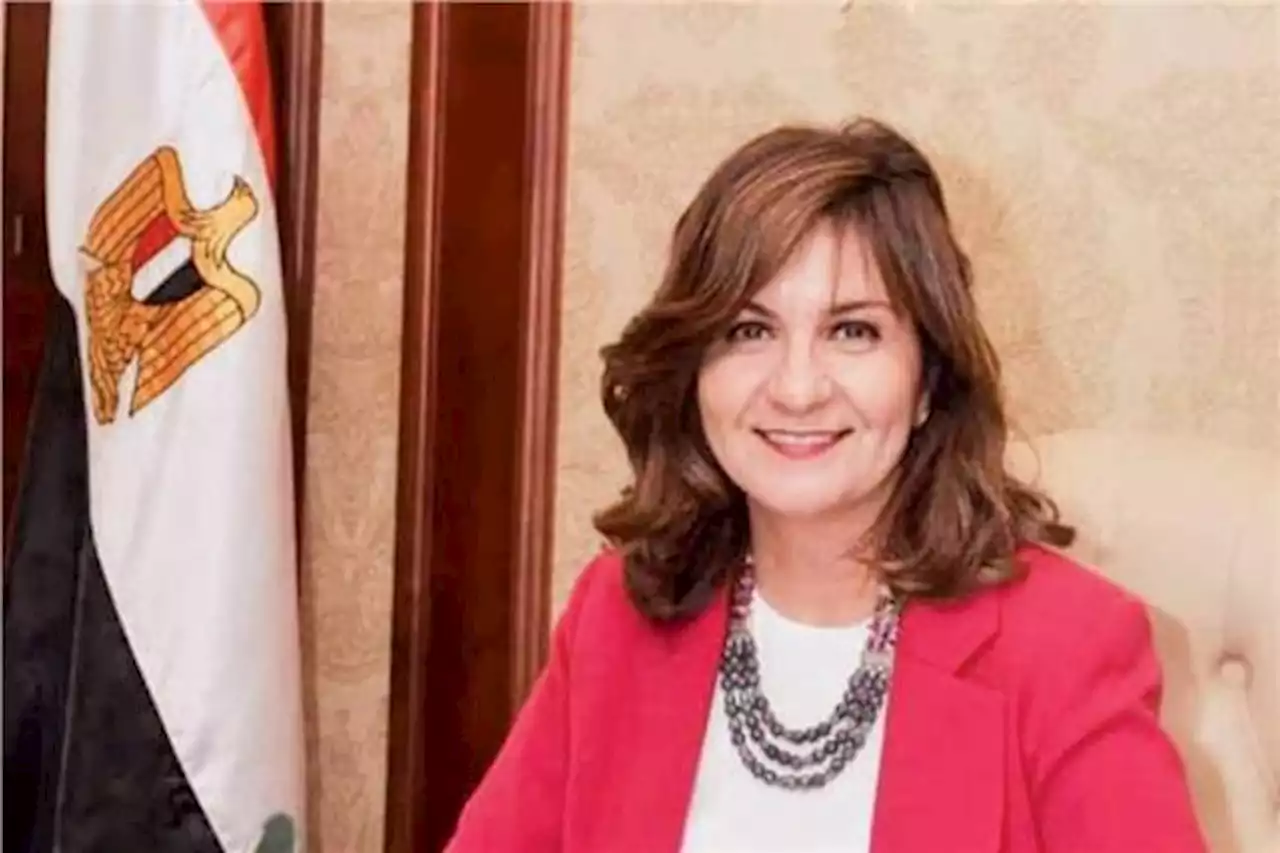 وزيرة الهجرة للطلاب المصريين في شرق أوكرانيا:«الوضع صعب» |فيديو