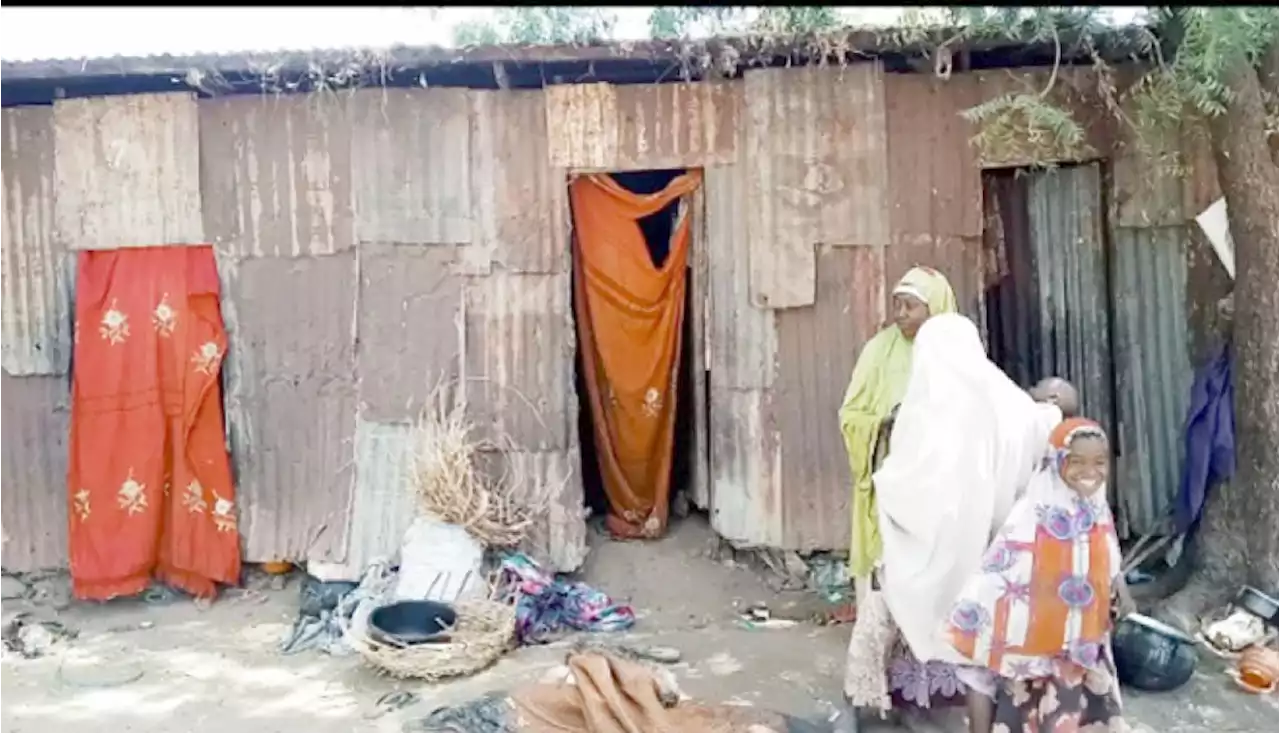 Sokoto IDPs: Tales of displacement and despair