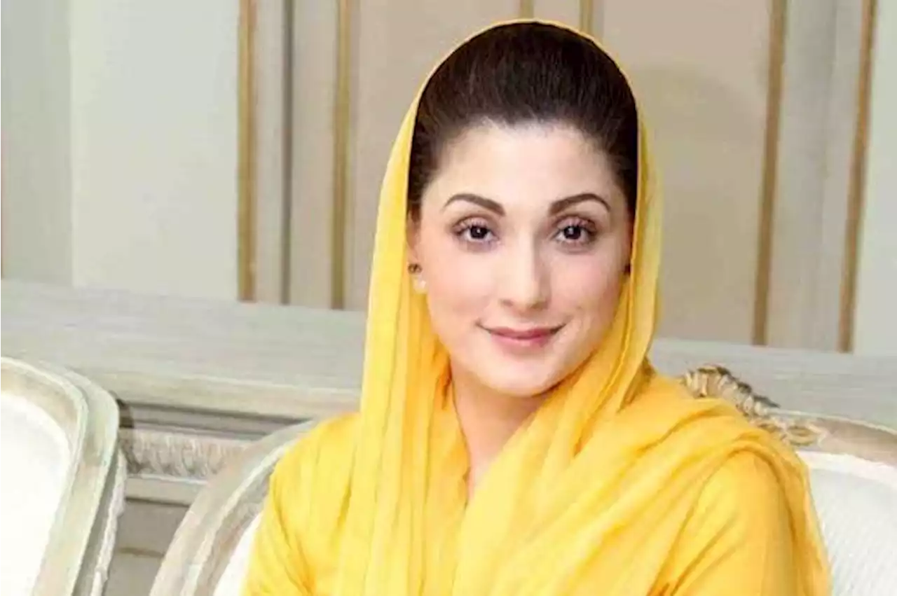 یوکرین میں پاکستانی طلبہ کو سہولیات نہ دینے پر مریم نواز حکومت پر برس پڑیں