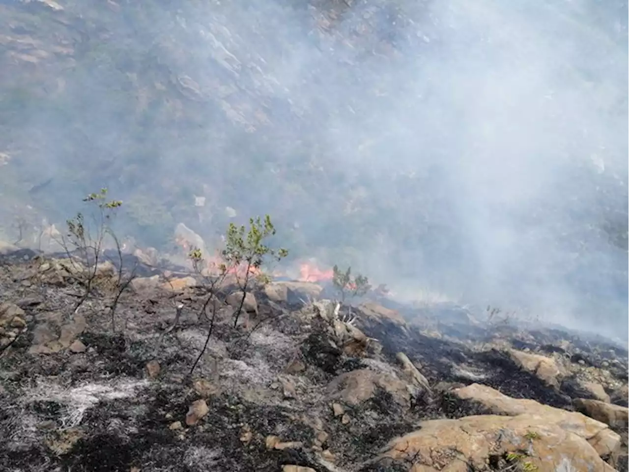 Incendio forestal arrasa con más de 100 hectáreas cerca a Villa de Leyva