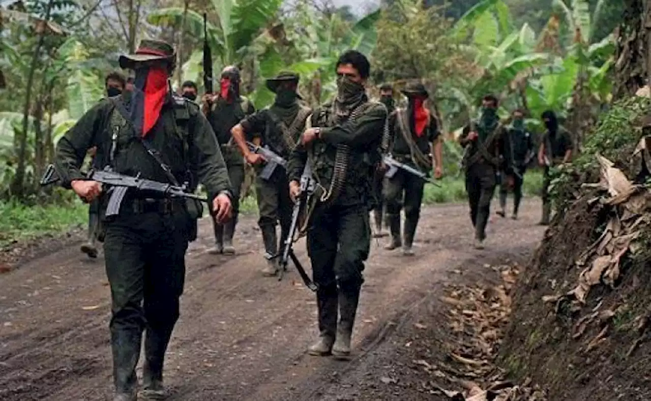 ¿Qué planea el Eln con su escalada terrorista en el país?