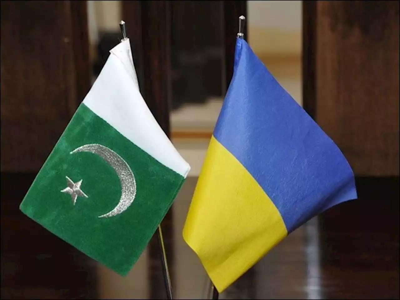 یوکرین میں محصور پاکستانیوں کی وطن واپسی کھٹائی میں پڑ گئی، پرواز کی روانگی مؤخر - ایکسپریس اردو