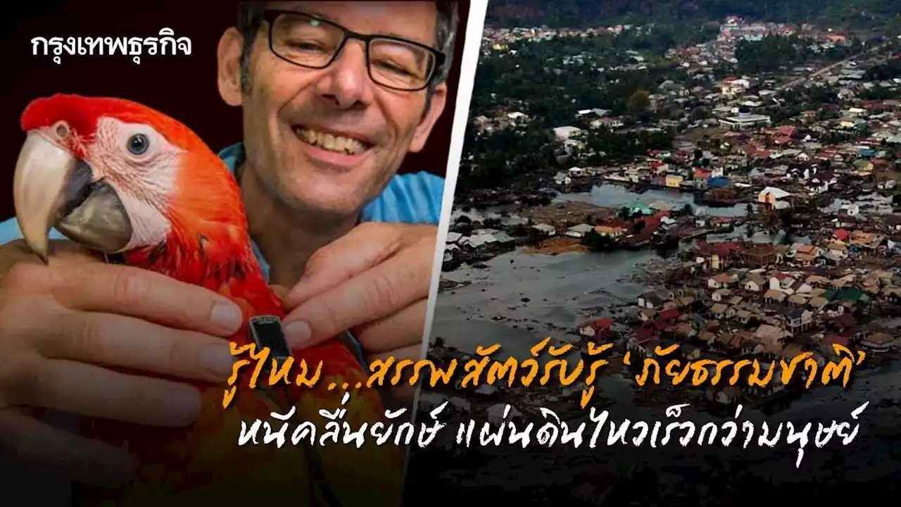 รู้ไหม...สรรพสัตว์รับรู้'ภัยธรรมชาติ'สึนามิ แผ่นดินไหว เร็วกว่ามนุษย์