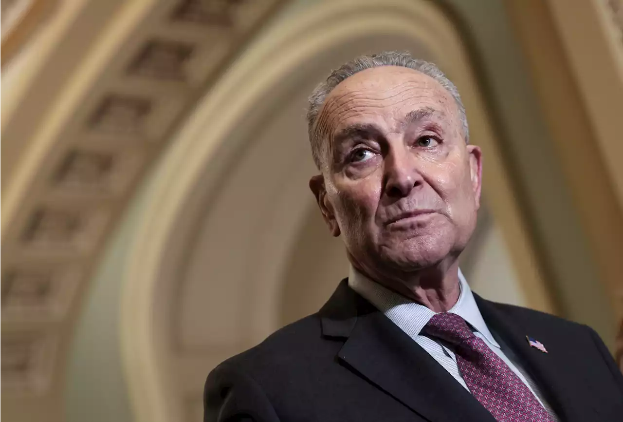 Ukrainian resistance to Russia will make Afghans look tame, Schumer says