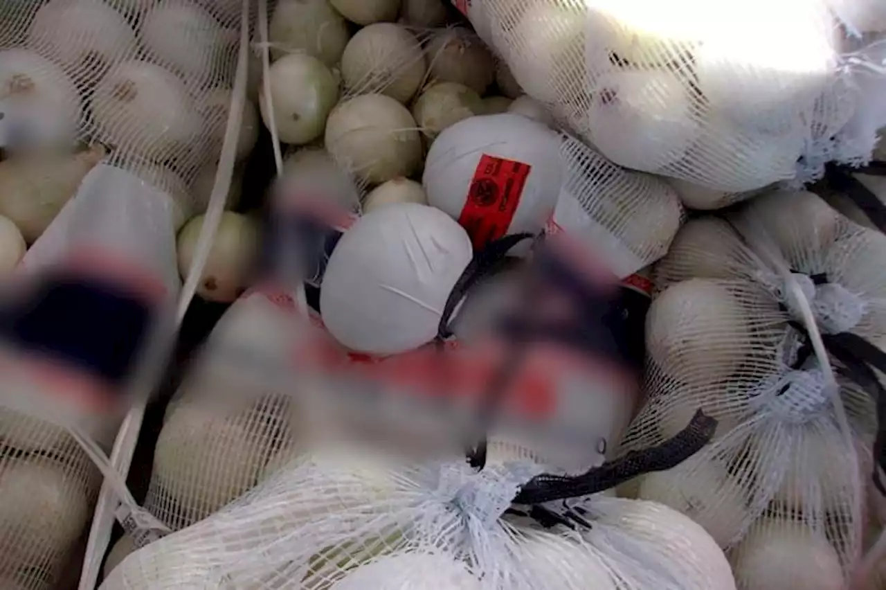 Authorities seize nearly $3M worth of meth in onion shipment