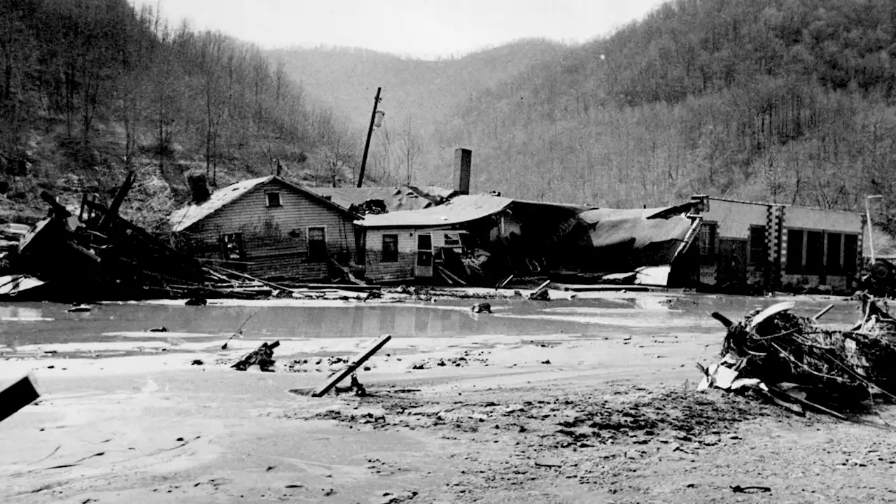 Coal disaster 50 years later: WVa creek teeming with fish