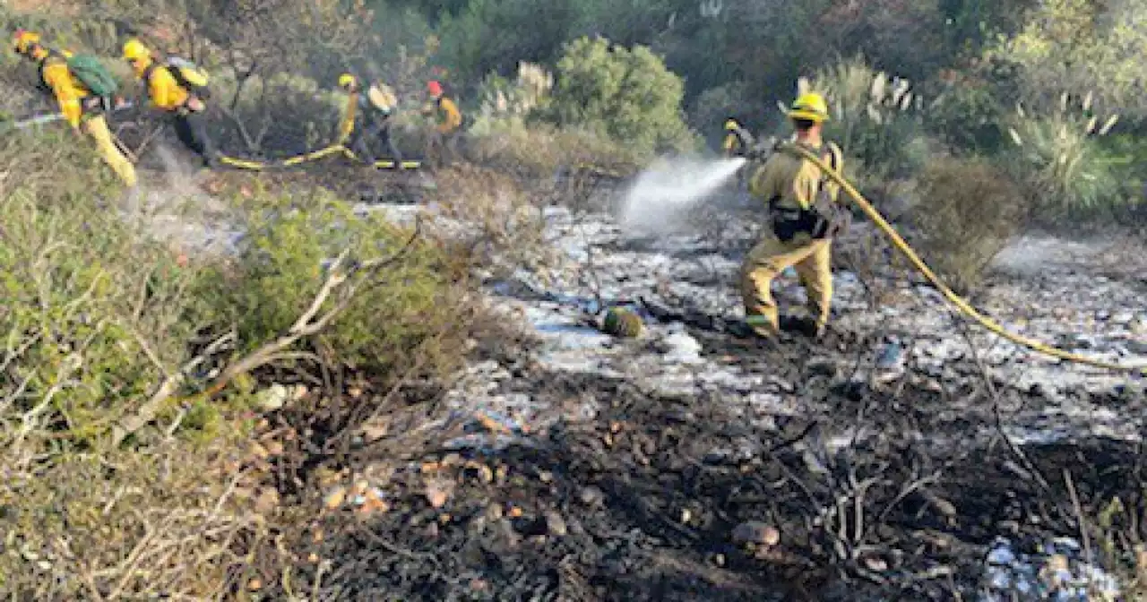 Small brush fire contained in Mira Mesa neighborhood