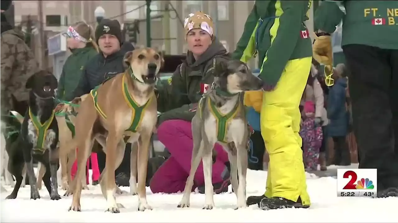 Sunday Fur Rondy sled dog races cancelled due to trail conditions