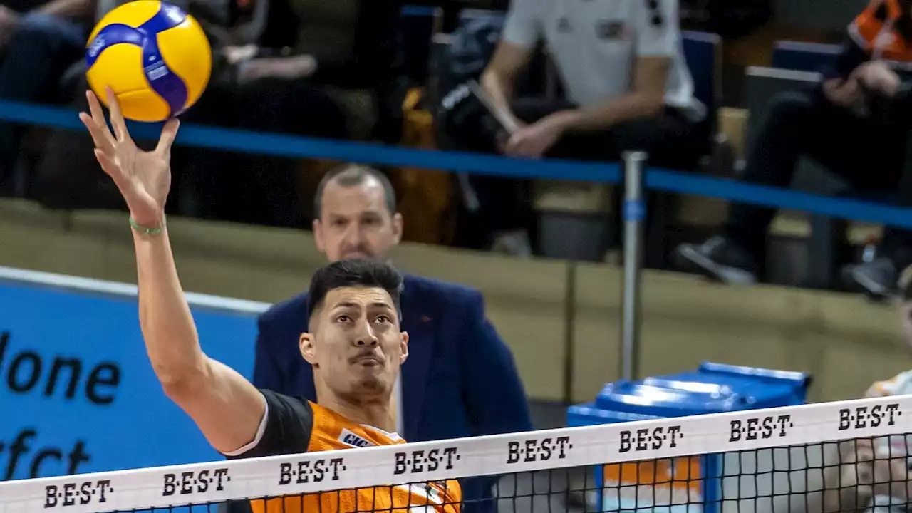 3:1-Sieg! Volleys betreiben Wiedergutmachung in Friedrichshafen