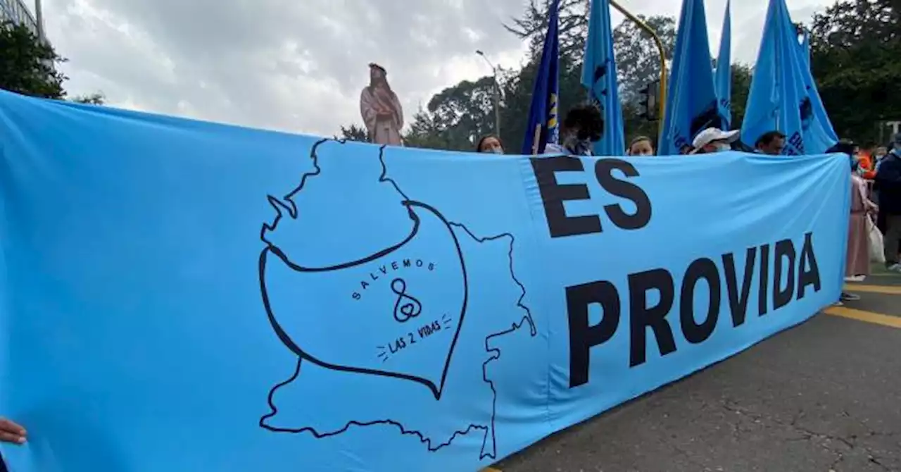 Organizaciones provida marchan en contra del aborto en Bogotá