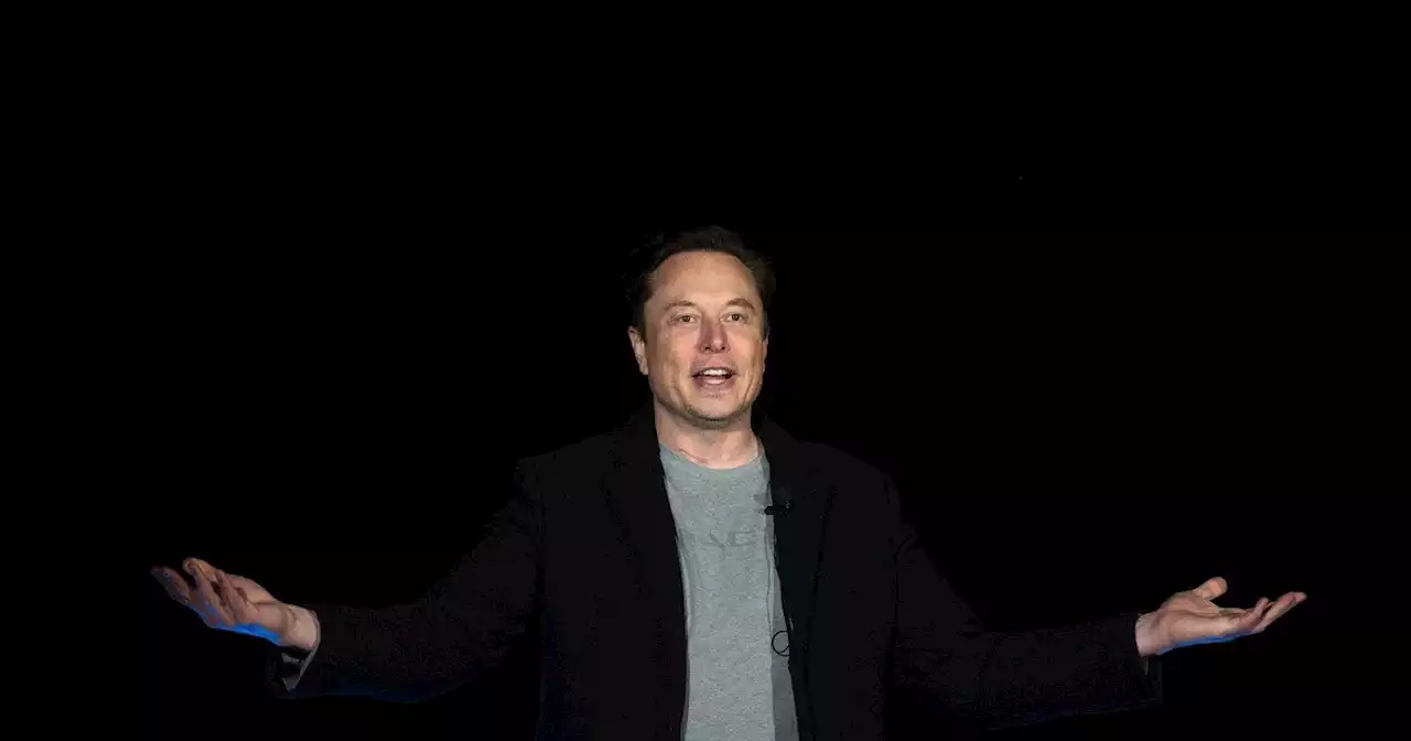 Elon Musk se mete en la guerra y responde a una chicana de un funcionario ucraniano