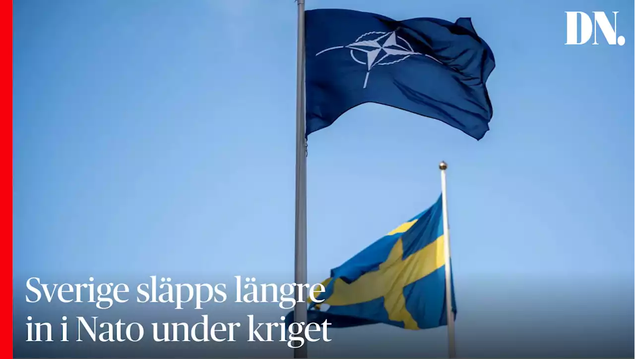 Sverige släpps längre in i Nato under kriget